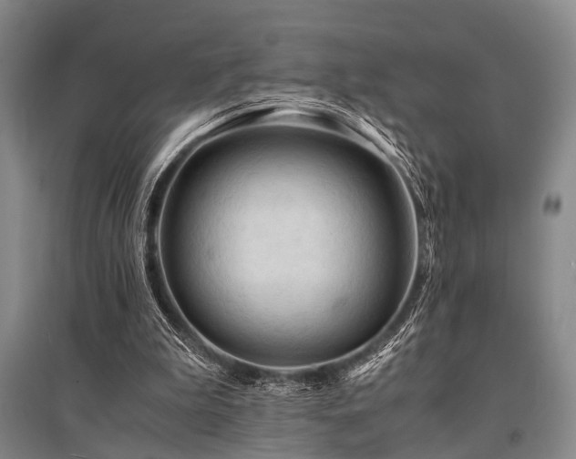 X0000095520199200712141453