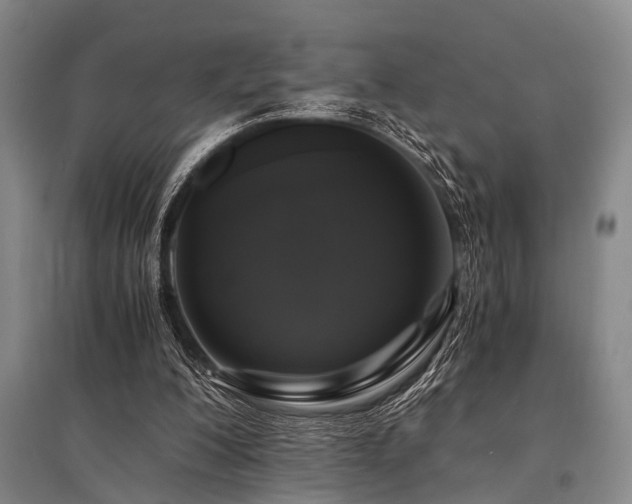 X0000095520200200712141453