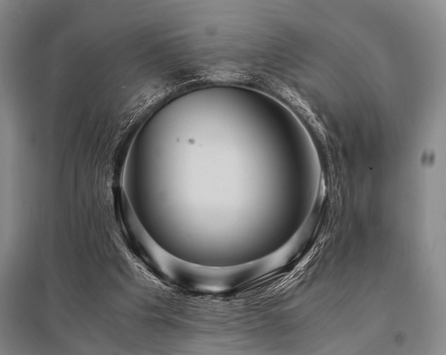 X0000095520201200712141453