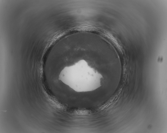 X0000095520202200712141453