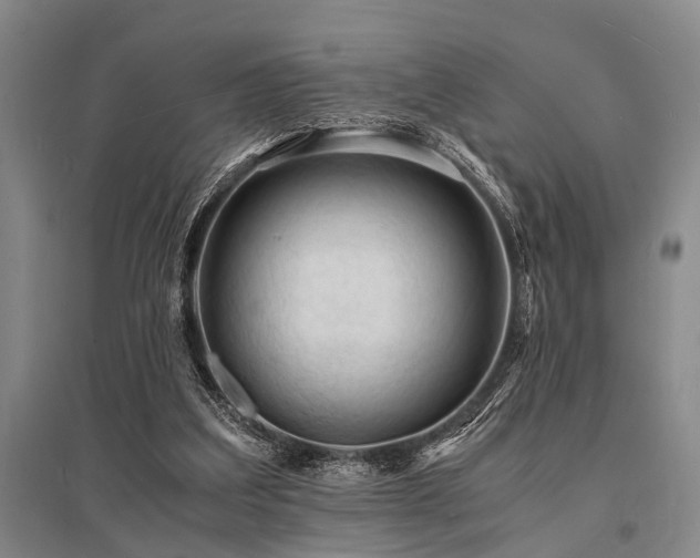 X0000095520203200712141453