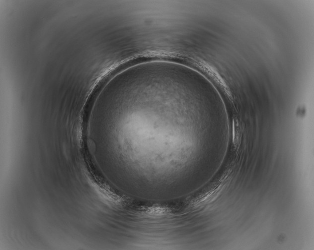 X0000095520204200712141453