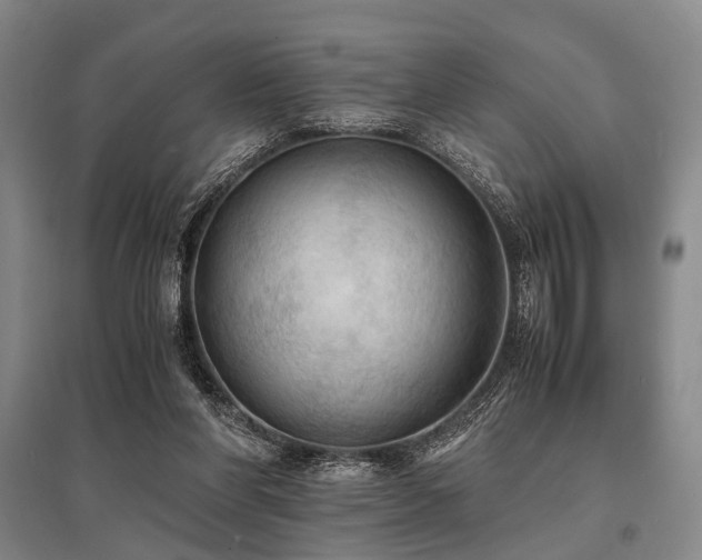 X0000095520206200712141453