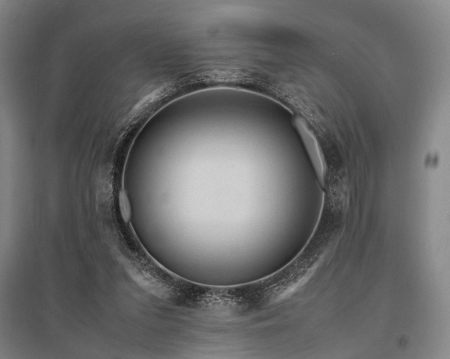 X0000095520207200712141453