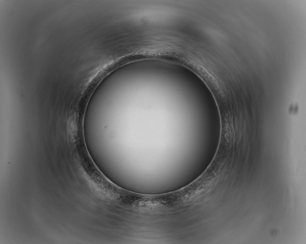 X0000095520208200712141453