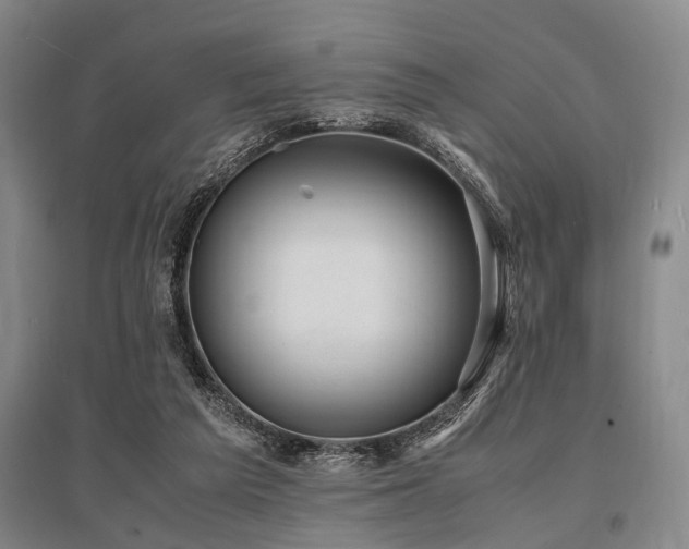 X0000095520209200712141453