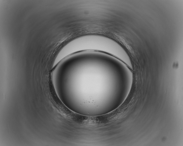 X0000095520211200712141453