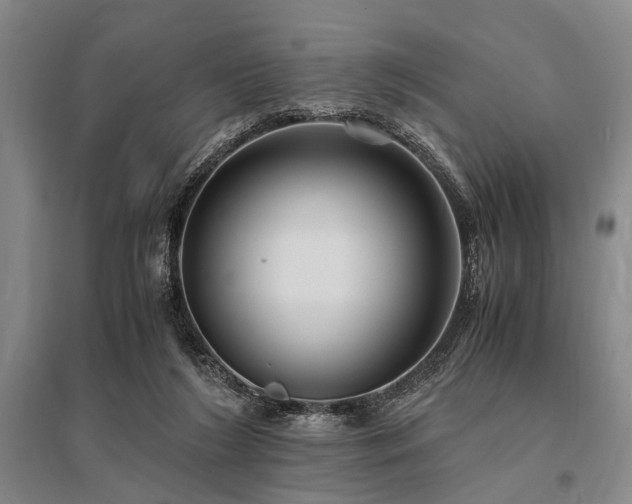 X0000095520212200712141453