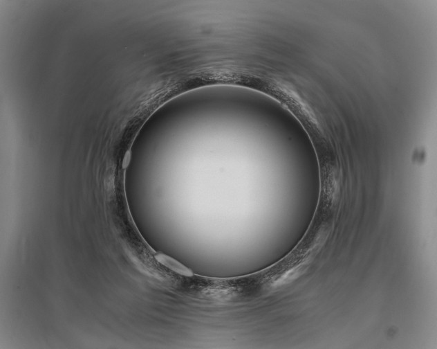 X0000095520213200712141453