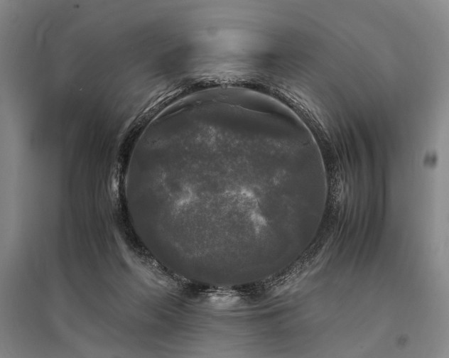 X0000095520214200712141453