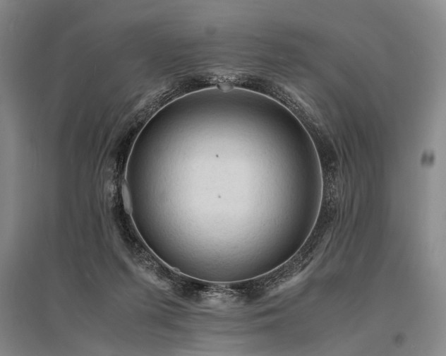 X0000095520215200712141453