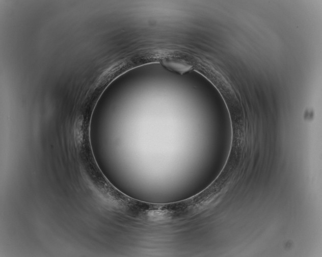 X0000095520216200712141453