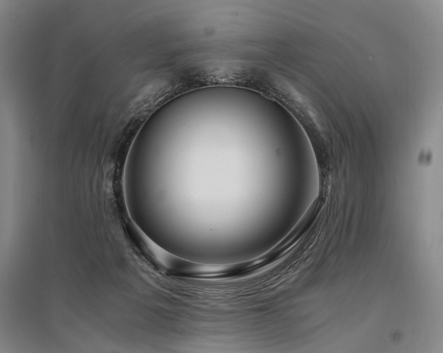 X0000095520217200712141453