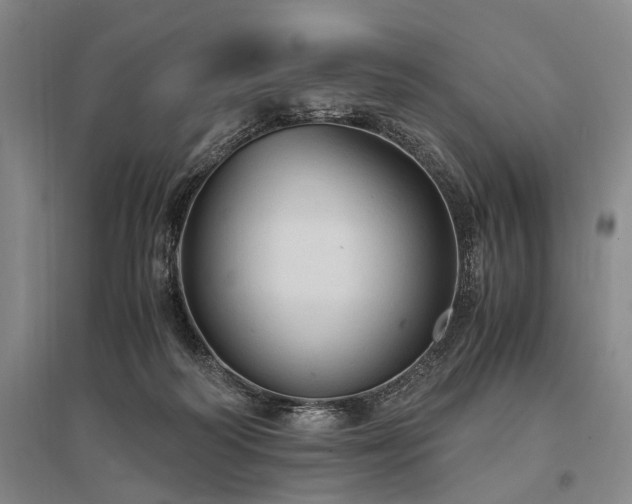 X0000095520218200712141453