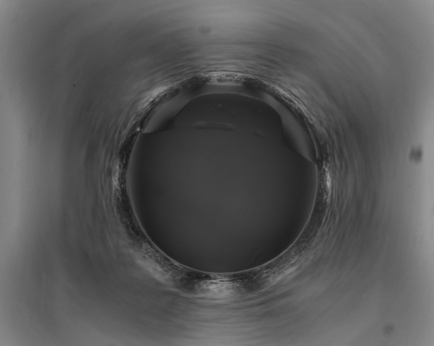 X0000095520219200712141453