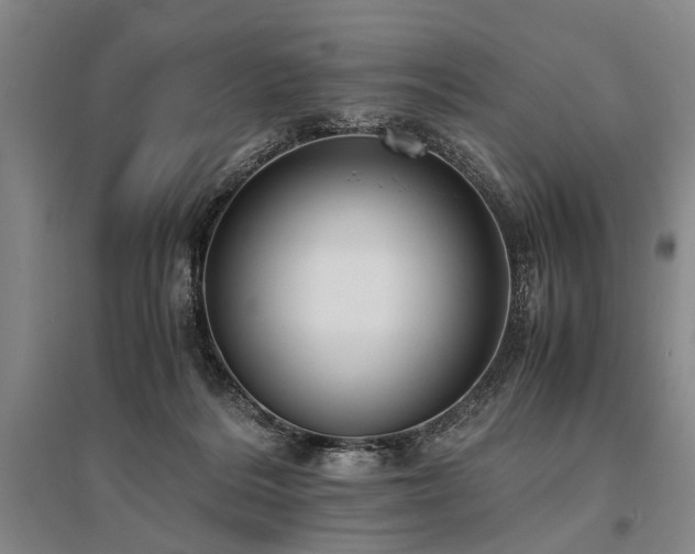 X0000095520220200712141453