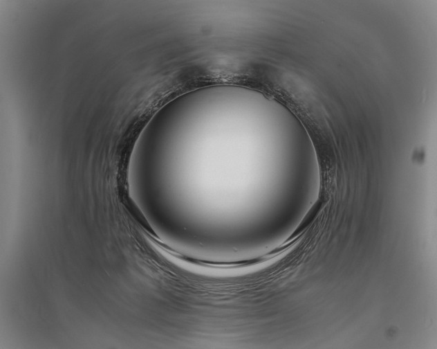 X0000095520221200712141453