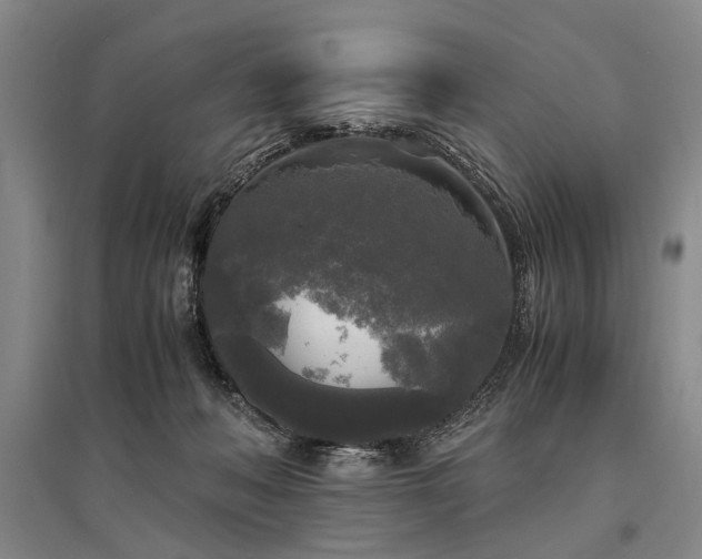 X0000095520222200712141453