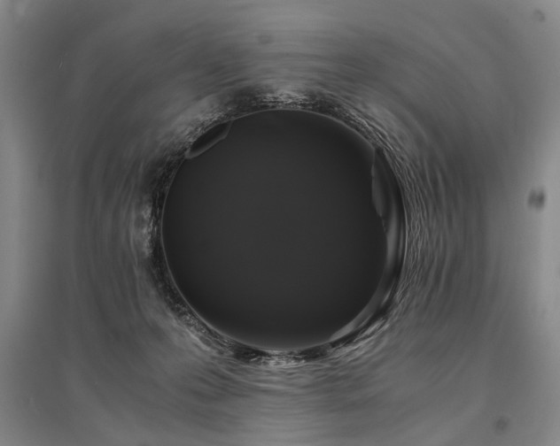 X0000095520223200712141453