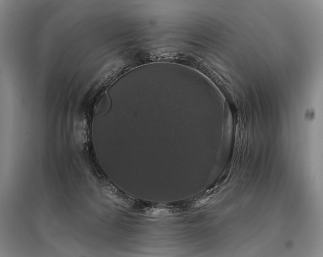 X0000095520224200712141453