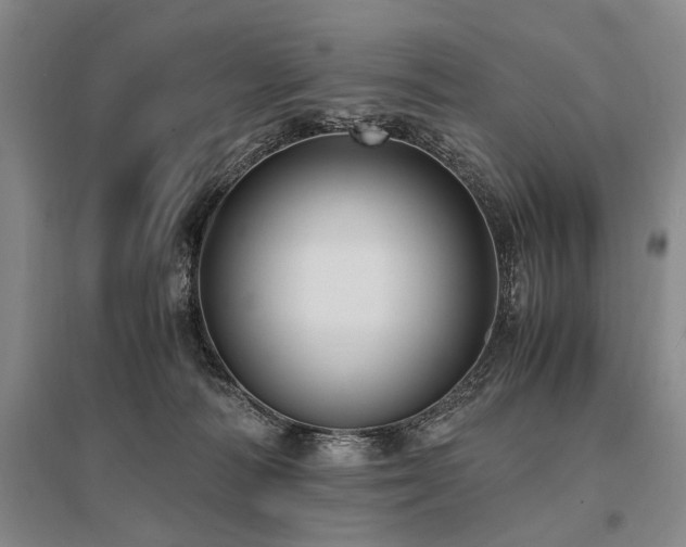 X0000095520226200712141453