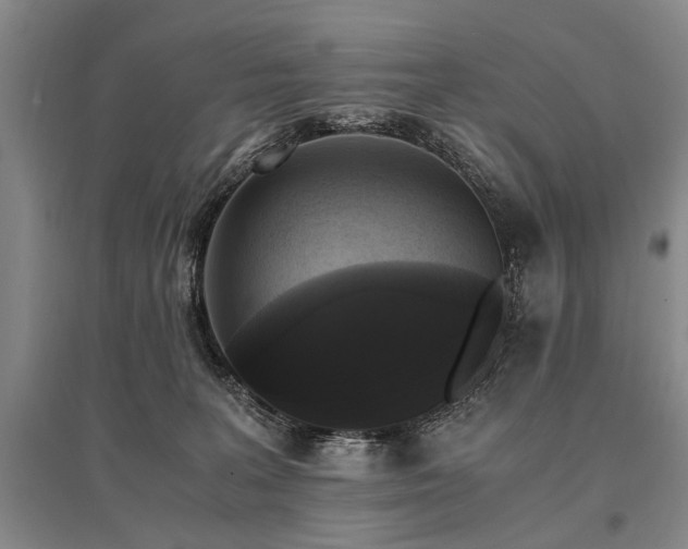 X0000095520227200712141453