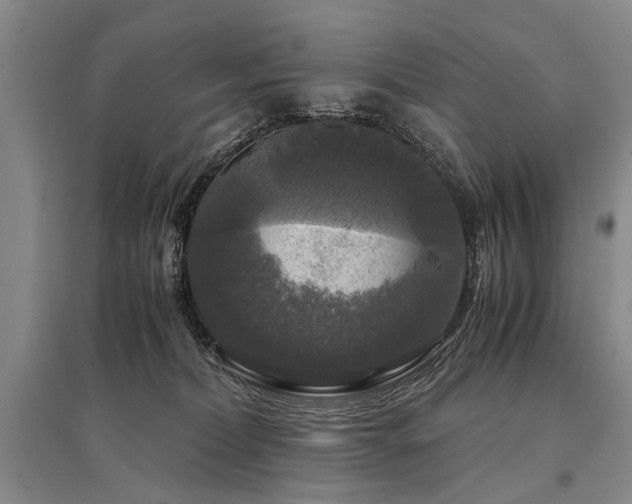 X0000095520228200712141453