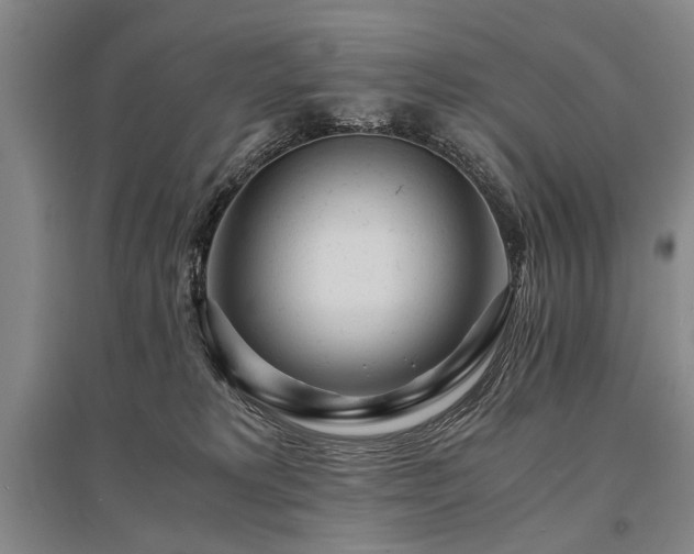 X0000095520229200712141453