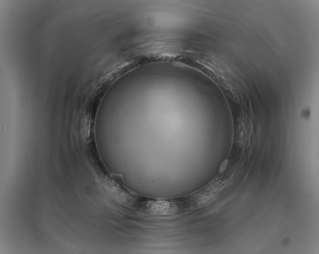 X0000095520230200712141453