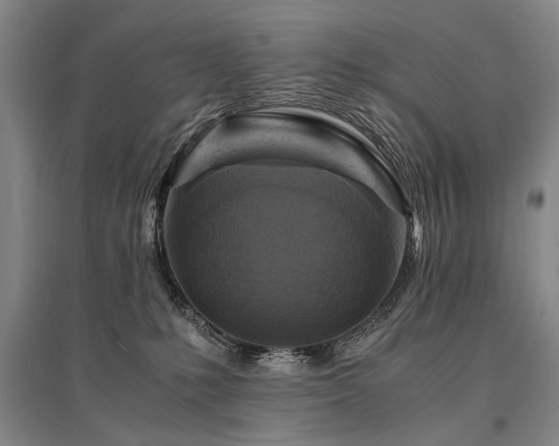 X0000095520231200712141453