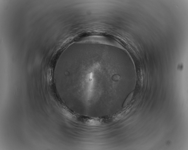 X0000095520232200712141453