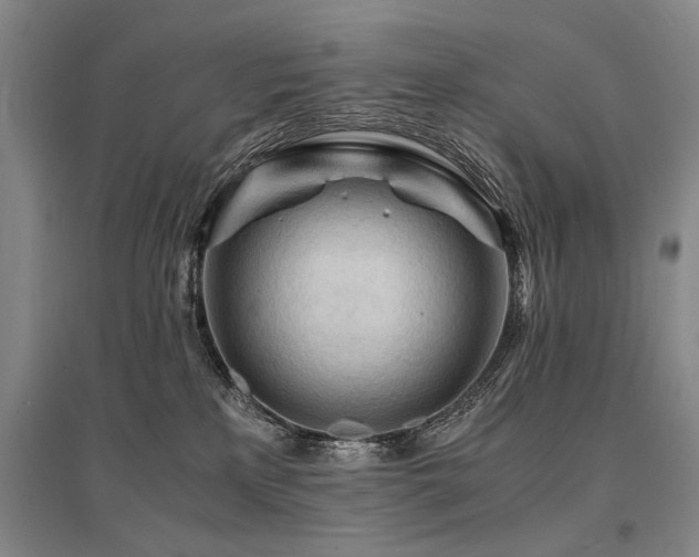 X0000095520233200712141453