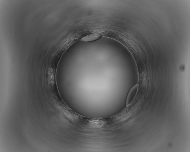 X0000095520234200712141453