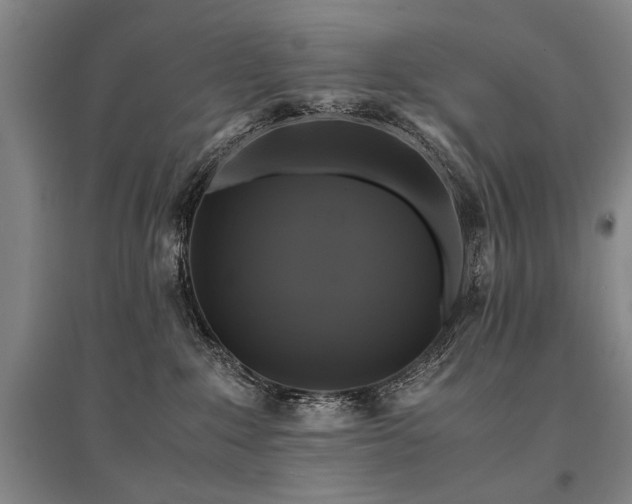 X0000095520235200712141453