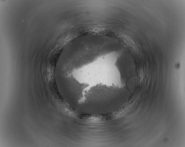 X0000095520236200712141453