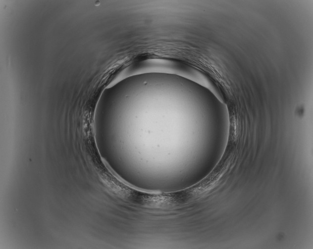 X0000095520237200712141453