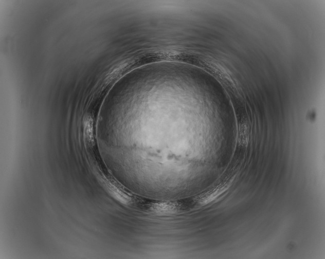 X0000095520238200712141453