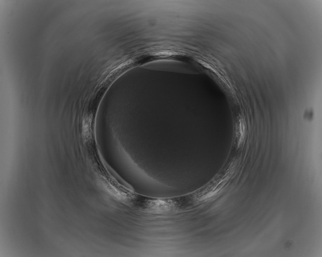 X0000095520239200712141453