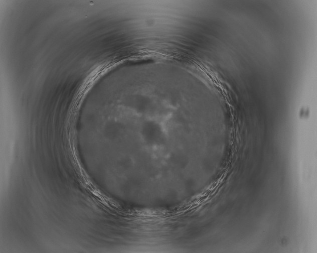 X0000095520241200712141452