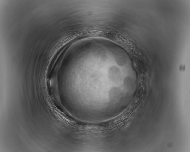 X0000095520242200712141452