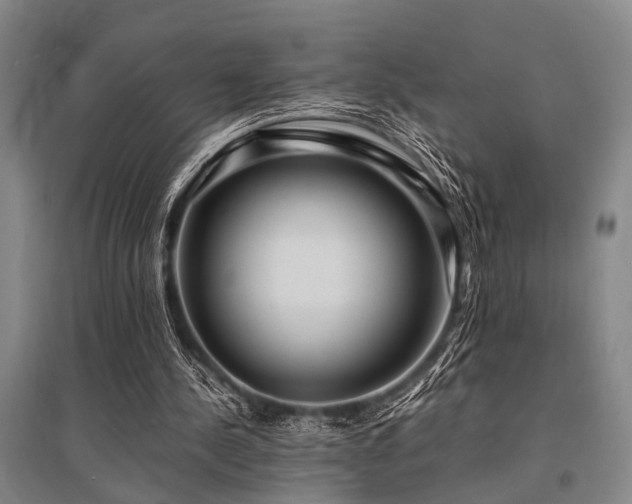 X0000095520244200712141452