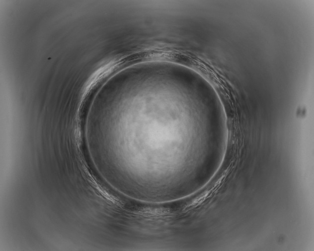 X0000095520245200712141452