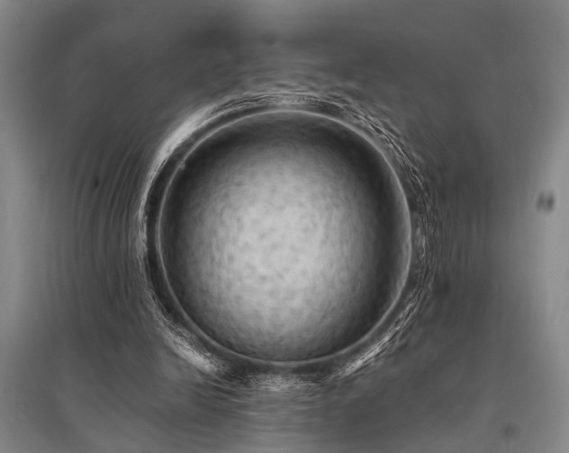 X0000095520246200712141452