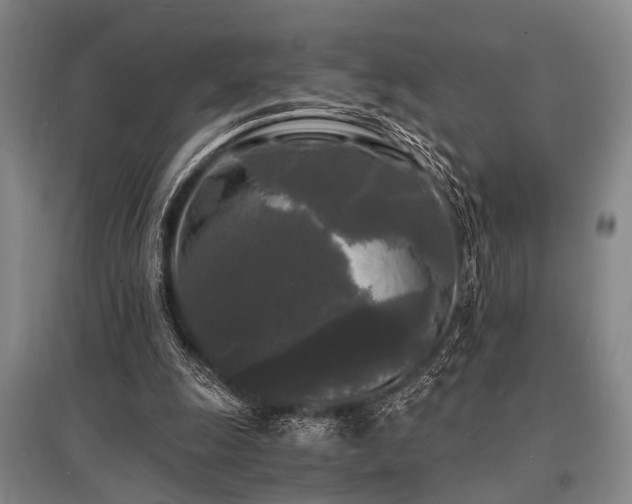 X0000095520247200712141452