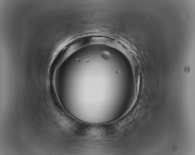 X0000095520248200712141452