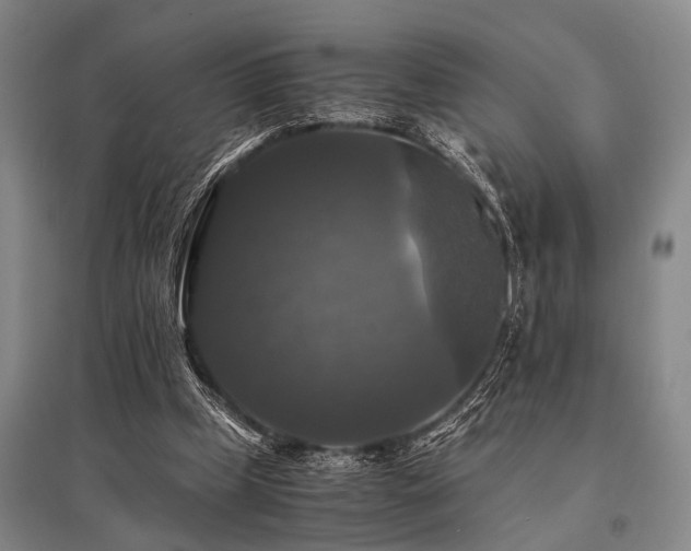 X0000095520249200712141452