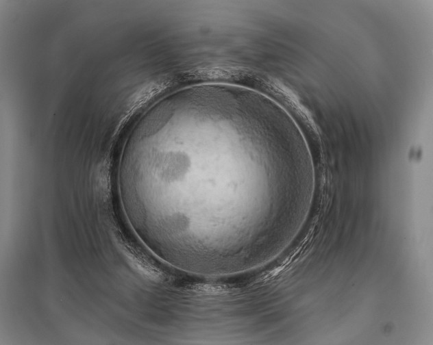 X0000095520250200712141452