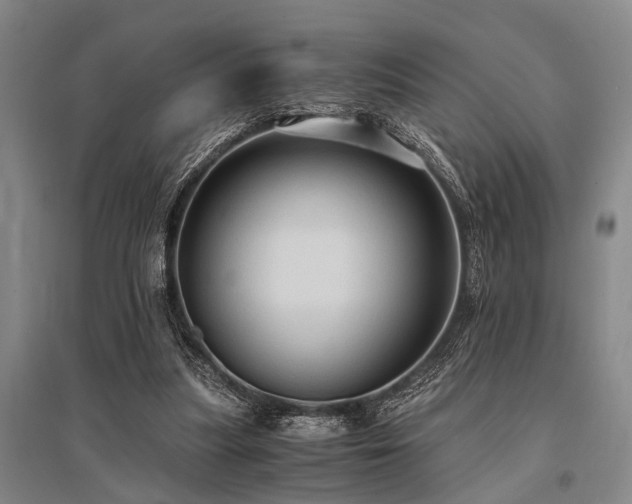 X0000095520251200712141452