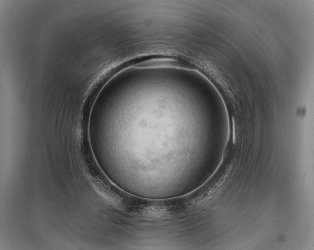 X0000095520252200712141452