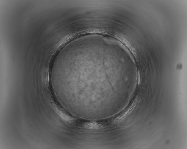 X0000095520253200712141452